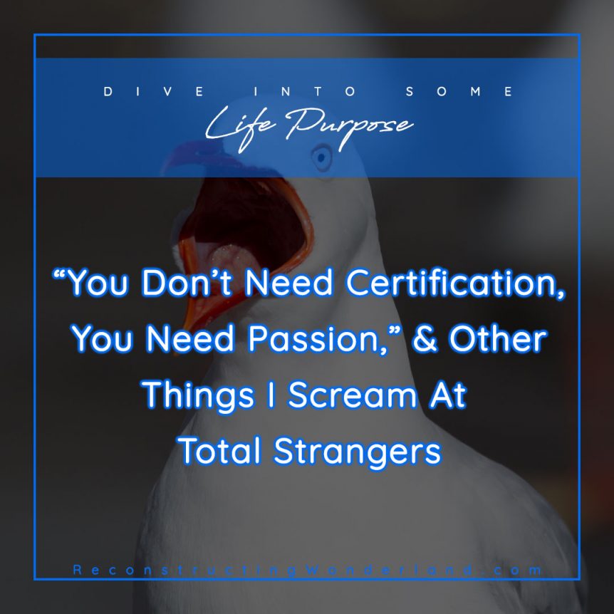 you don't need certification, you need passion, and other things I scream at total strangers