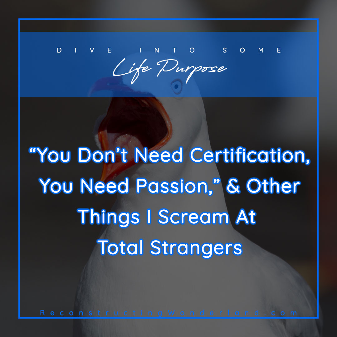 you don't need certification, you need passion, and other things I scream at total strangers