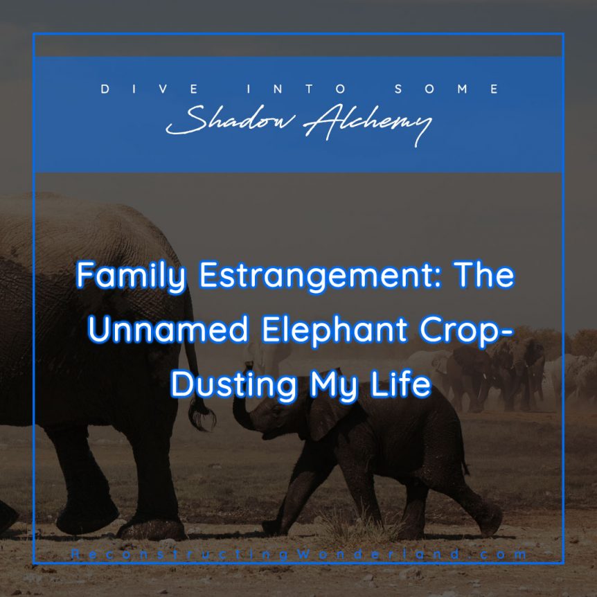 family estrangement